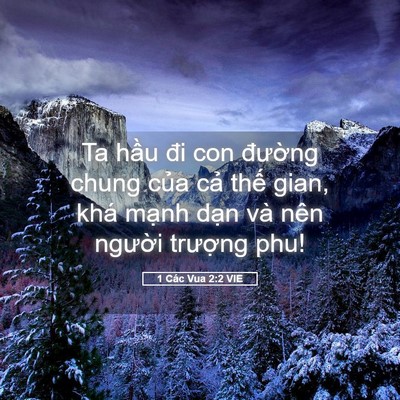 Picture 05 - 1 Các Vua 2:2 VIE - Ta hầu đi con đường chung của cả thế - Bible Verse Picture