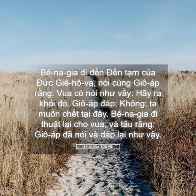 Picture 05 - 1 Các Vua 2:30 VIE - Bê-na-gia đi đến Đền tạm của Đức - Bible Verse Picture