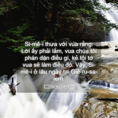 Picture 05 - 1 Các Vua 2:38 VIE - Si-mê-i thưa với vua rằng: Lời ấy - Bible Verse Picture