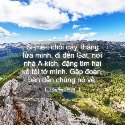 Picture 05 - 1 Các Vua 2:40 VIE - Si-mê-i chổi dậy, thắng lừa mình, đi - Bible Verse Picture