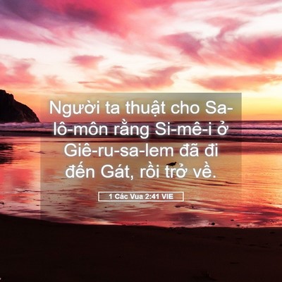 Picture 05 - 1 Các Vua 2:41 VIE - Người ta thuật cho Sa-lô-môn rằng - Bible Verse Picture