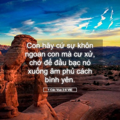 Picture 05 - 1 Các Vua 2:6 VIE - Con hãy cứ sự khôn ngoan con mà cư xử, - Bible Verse Picture