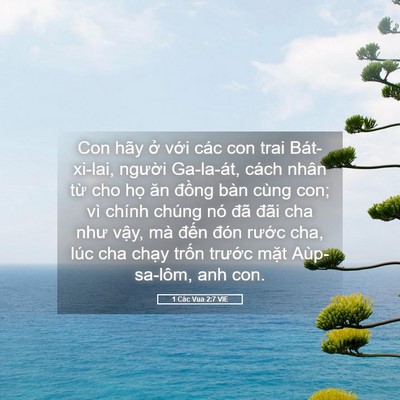 Picture 05 - 1 Các Vua 2:7 VIE - Con hãy ở với các con trai Bát-xi-lai, - Bible Verse Picture
