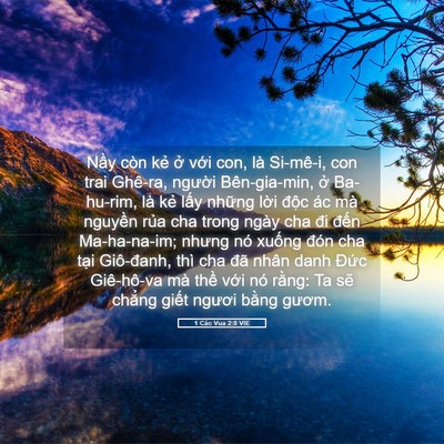 Picture 05 - 1 Các Vua 2:8 VIE - Nầy còn kẻ ở với con, là Si-mê-i, con - Bible Verse Picture