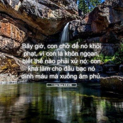 Picture 05 - 1 Các Vua 2:9 VIE - Bây giờ, con chớ để nó khỏi phạt, - Bible Verse Picture