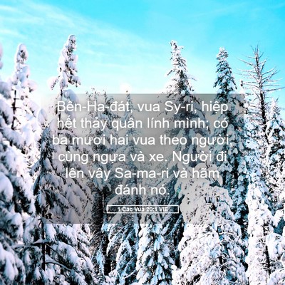 Picture 05 - 1 Các Vua 20:1 VIE - Bên-Ha-đát, vua Sy-ri, hiệp hết thảy - Bible Verse Picture
