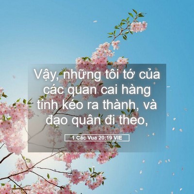 Picture 05 - 1 Các Vua 20:19 VIE - Vậy, những tôi tớ của các quan cai - Bible Verse Picture