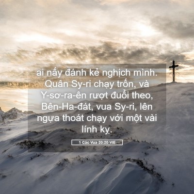 Picture 05 - 1 Các Vua 20:20 VIE - ai nấy đánh kẻ nghịch mình. Quân Sy-ri - Bible Verse Picture