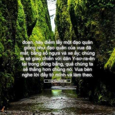 Picture 05 - 1 Các Vua 20:25 VIE - đoạn, hãy điểm lấy một đạo quân - Bible Verse Picture
