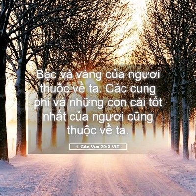 Picture 05 - 1 Các Vua 20:3 VIE - Bạc và vàng của ngươi thuộc về ta. - Bible Verse Picture