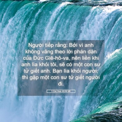 Picture 05 - 1 Các Vua 20:36 VIE - Người tiếp rằng: Bởi vì anh không - Bible Verse Picture