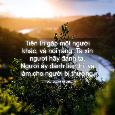 Picture 05 - 1 Các Vua 20:37 VIE - Tiên tri gặp một người khác, và nói - Bible Verse Picture