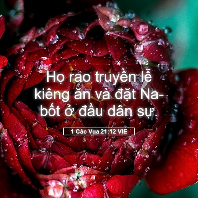 Picture 05 - 1 Các Vua 21:12 VIE - Họ rao truyền lễ kiêng ăn và đặt - Bible Verse Picture