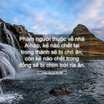 Picture 05 - 1 Các Vua 21:24 VIE - Phàm người thuộc về nhà A-háp, kẻ - Bible Verse Picture