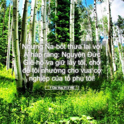 Picture 05 - 1 Các Vua 21:3 VIE - Nhưng Na-bốt thưa lại với A-háp rằng: - Bible Verse Picture