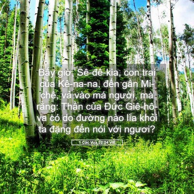 Picture 05 - 1 Các Vua 22:24 VIE - Bấy giờ, Sê-đê-kia, con trai của - Bible Verse Picture
