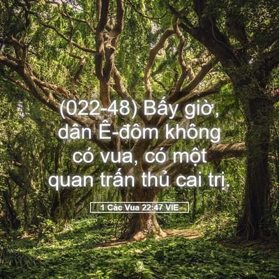 Picture 05 - 1 Các Vua 22:47 VIE - (022-48) Bấy giờ, dân Ê-đôm không có - Bible Verse Picture