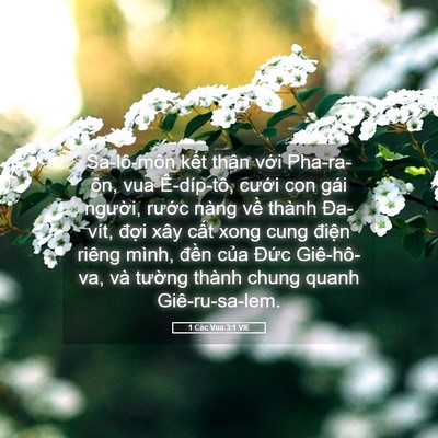 Picture 05 - 1 Các Vua 3:1 VIE - Sa-lô-môn kết thân với Pha-ra-ôn, vua - Bible Verse Picture
