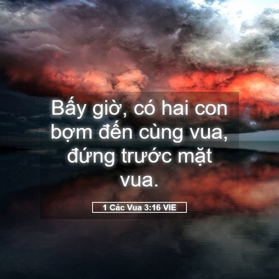 Picture 05 - 1 Các Vua 3:16 VIE - Bấy giờ, có hai con bợm đến cùng vua, - Bible Verse Picture
