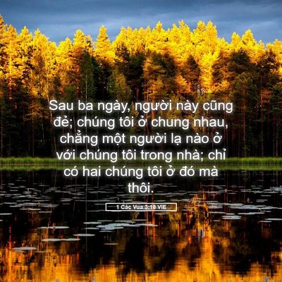 Picture 05 - 1 Các Vua 3:18 VIE - Sau ba ngày, người này cũng đẻ; chúng - Bible Verse Picture