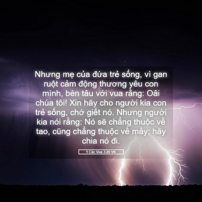 Picture 05 - 1 Các Vua 3:26 VIE - Nhưng mẹ của đứa trẻ sống, vì gan - Bible Verse Picture