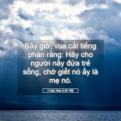 Picture 05 - 1 Các Vua 3:27 VIE - Bấy giờ, vua cất tiếng phán rằng: Hãy - Bible Verse Picture