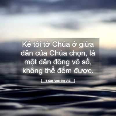 Picture 05 - 1 Các Vua 3:8 VIE - Kẻ tôi tớ Chúa ở giữa dân của Chúa - Bible Verse Picture