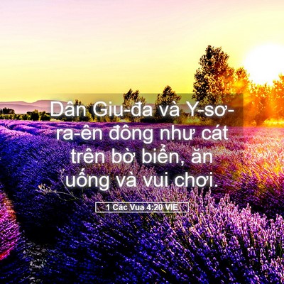 Picture 05 - 1 Các Vua 4:20 VIE - Dân Giu-đa và Y-sơ-ra-ên đông như cát - Bible Verse Picture