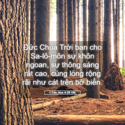 Picture 05 - 1 Các Vua 4:29 VIE - Đức Chúa Trời ban cho Sa-lô-môn sự - Bible Verse Picture