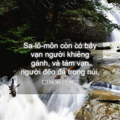 Picture 05 - 1 Các Vua 5:15 VIE - Sa-lô-môn còn có bảy vạn người khiêng - Bible Verse Picture
