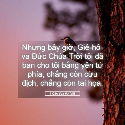 Picture 05 - 1 Các Vua 5:4 VIE - Nhưng bây giờ, Giê-hô-va Đức Chúa - Bible Verse Picture