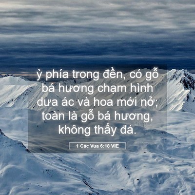 Picture 05 - 1 Các Vua 6:18 VIE - ỳ phía trong đền, có gỗ bá hương - Bible Verse Picture