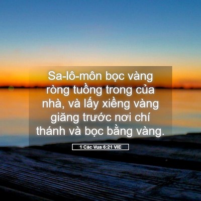 Picture 05 - 1 Các Vua 6:21 VIE - Sa-lô-môn bọc vàng ròng tuồng trong của - Bible Verse Picture