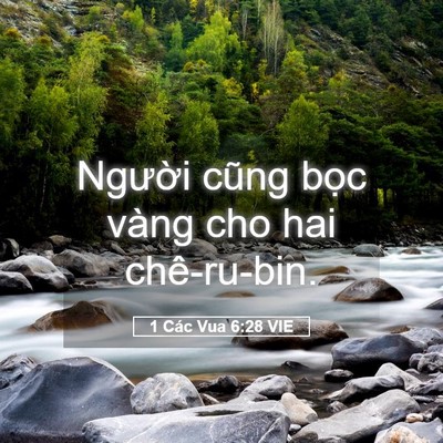 Picture 05 - 1 Các Vua 6:28 VIE - Người cũng bọc vàng cho hai - Bible Verse Picture