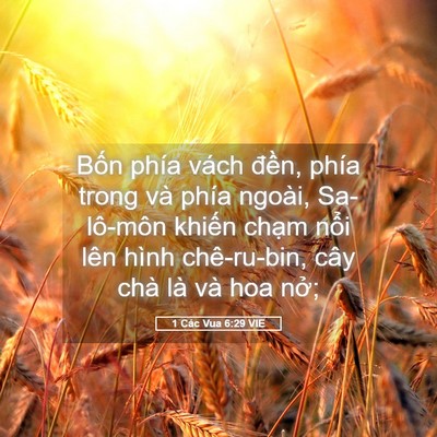 Picture 05 - 1 Các Vua 6:29 VIE - Bốn phía vách đền, phía trong và phía - Bible Verse Picture