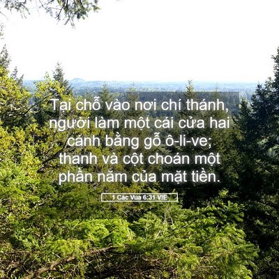 Picture 05 - 1 Các Vua 6:31 VIE - Tại chỗ vào nơi chí thánh, người làm - Bible Verse Picture