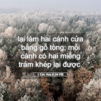 Picture 05 - 1 Các Vua 6:34 VIE - lại làm hai cánh cửa bằng gỗ tòng; - Bible Verse Picture
