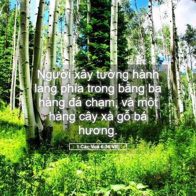 Picture 05 - 1 Các Vua 6:36 VIE - Người xây tường hành lang phía trong - Bible Verse Picture