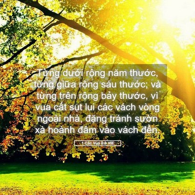 Picture 05 - 1 Các Vua 6:6 VIE - Từng dưới rộng năm thước, từng - Bible Verse Picture