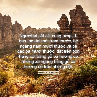 Picture 05 - 1 Các Vua 7:2 VIE - Người lại cất cái cung rừng Li-ban, - Bible Verse Picture