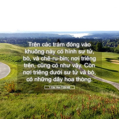 Picture 05 - 1 Các Vua 7:29 VIE - Trên các trám đóng vào khuông này có - Bible Verse Picture