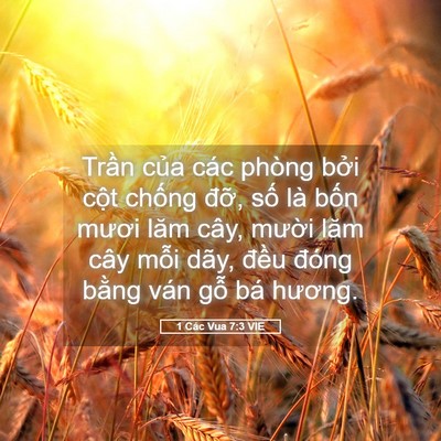 Picture 05 - 1 Các Vua 7:3 VIE - Trần của các phòng bởi cột chống - Bible Verse Picture