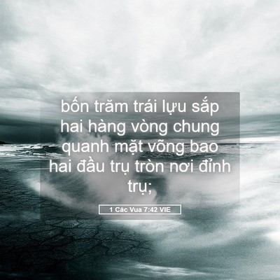 Picture 05 - 1 Các Vua 7:42 VIE - bốn trăm trái lựu sắp hai hàng vòng - Bible Verse Picture