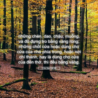Picture 05 - 1 Các Vua 7:50 VIE - những chén, dao, chậu, muỗng, và đồ - Bible Verse Picture