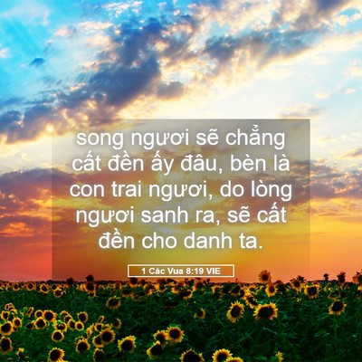 Picture 05 - 1 Các Vua 8:19 VIE - song ngươi sẽ chẳng cất đền ấy - Bible Verse Picture