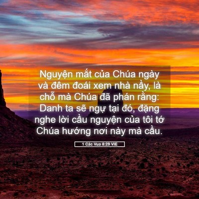 Picture 05 - 1 Các Vua 8:29 VIE - Nguyện mắt của Chúa ngày và đêm đoái - Bible Verse Picture