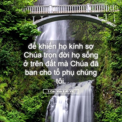 Picture 05 - 1 Các Vua 8:40 VIE - để khiến họ kính sợ Chúa trọn đời - Bible Verse Picture