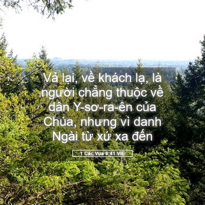 Picture 05 - 1 Các Vua 8:41 VIE - Vả lại, về khách lạ, là người - Bible Verse Picture