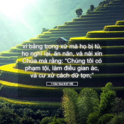 Picture 05 - 1 Các Vua 8:47 VIE - ví bằng trong xứ mà họ bị tù, họ - Bible Verse Picture