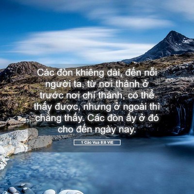 Picture 05 - 1 Các Vua 8:8 VIE - Các đòn khiêng dài, đến nỗi người - Bible Verse Picture